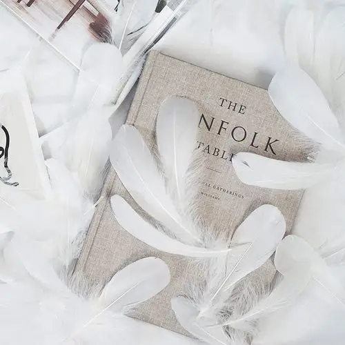 ins风北欧白色羽毛摆拍照相摄影道具房间装饰品网红梦幻美甲背景