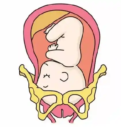 孕期新体验:胎儿入盆是一种什么样的感觉?