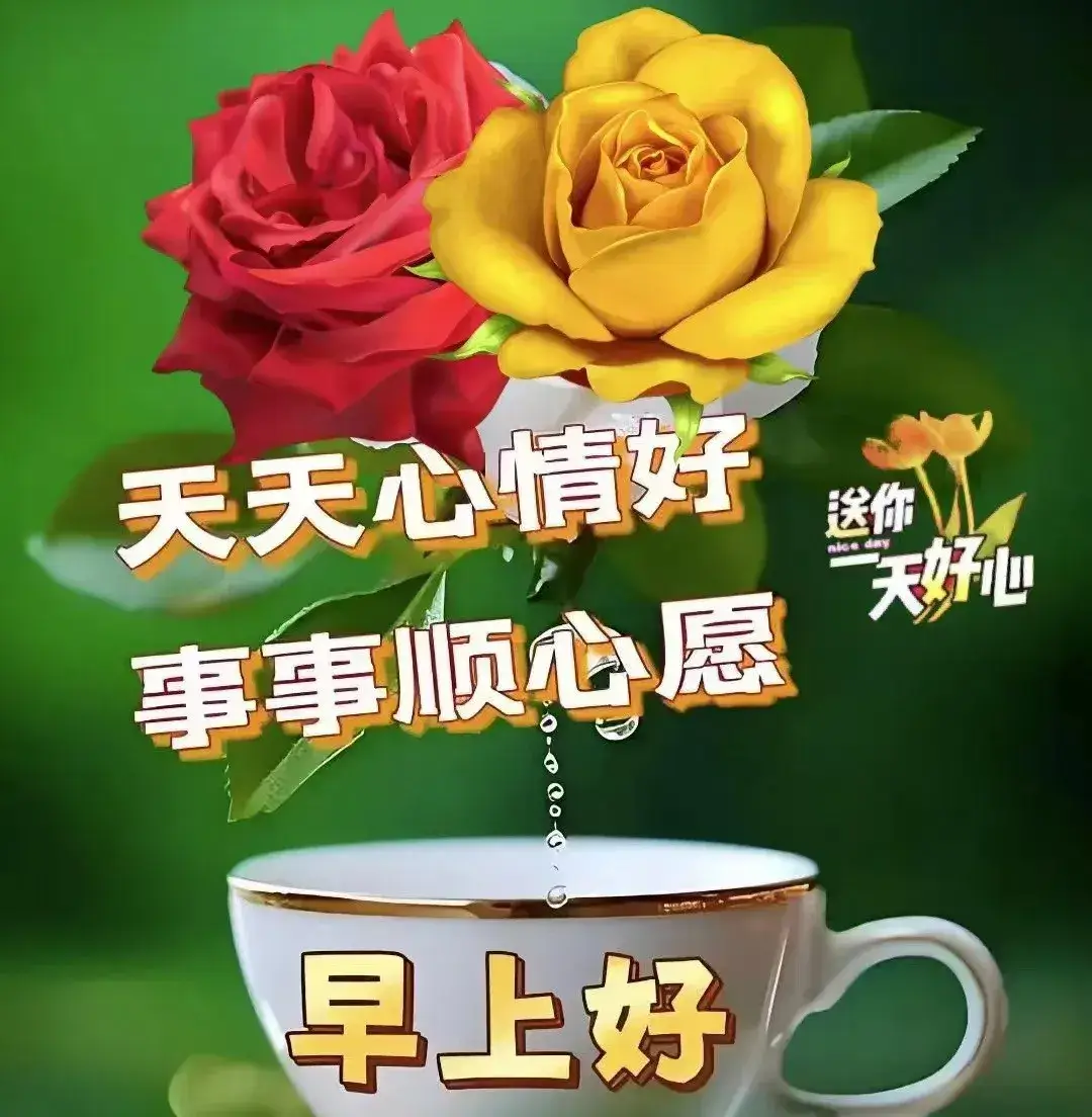 早上好漂亮图片问候语,唯美的早安祝福语图片大全,深深的祝福,健康第