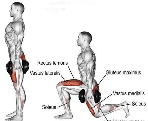 32种最有效的3d哑铃锻炼方法图解——腿部 哑铃锻炼腿部肌肉方法
