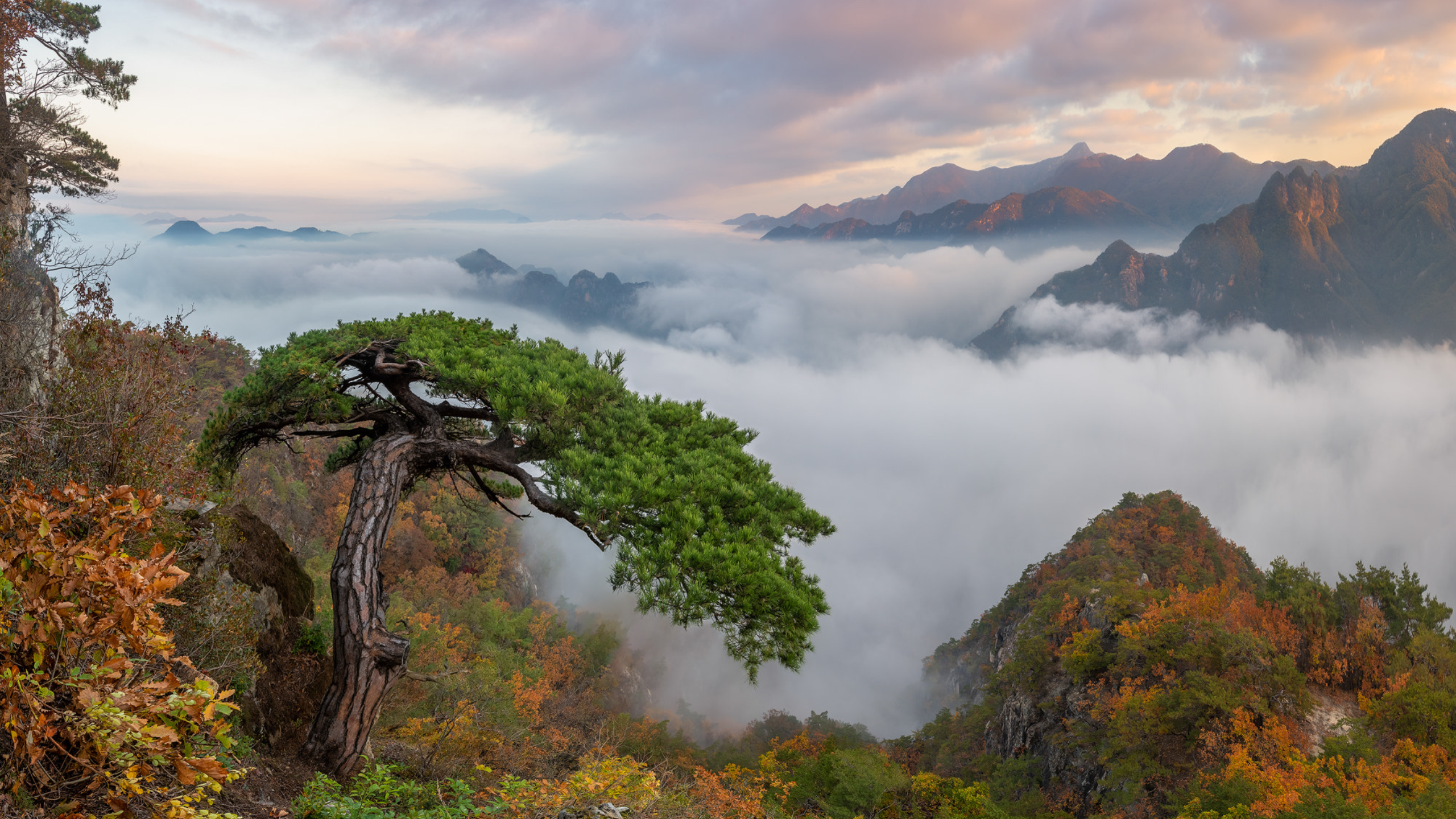有木有酷酷的 简洁的小壁纸最好是4k高清 无水印 电脑手机的我都要?