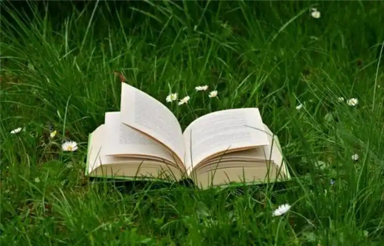 收藏保护眼睛的聊天背景图