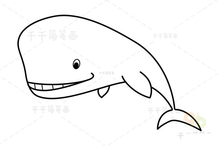抹香鲸骨头简笔画