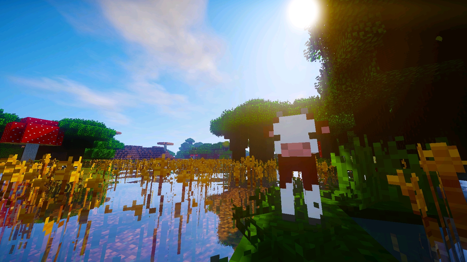 minecraft光影美图分享