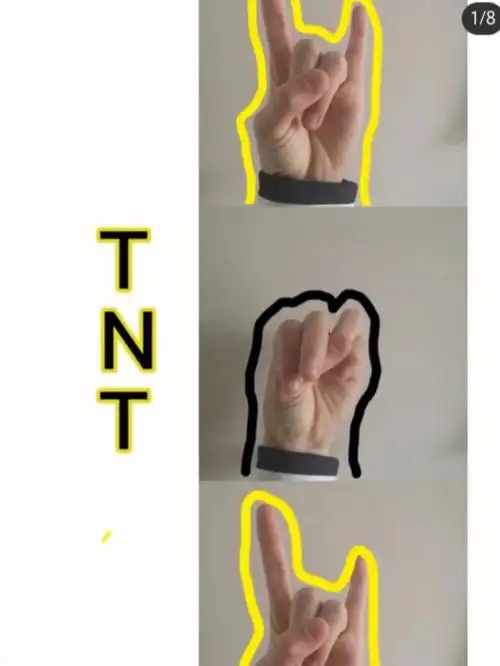 时代少年团的手语﹏