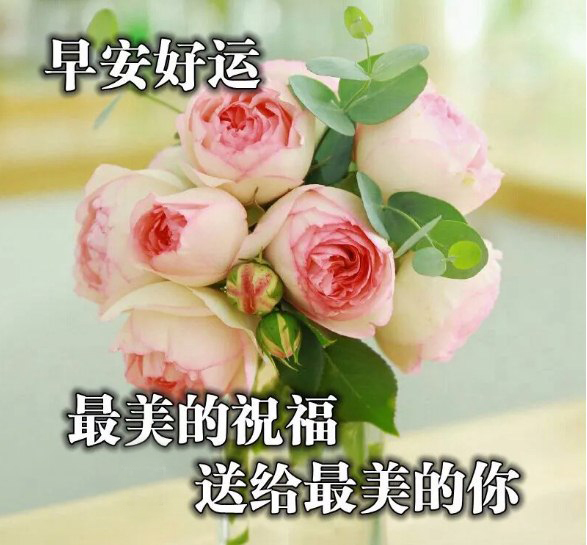 夏天让人一秒倾心的早安图片,最新版早上好漂亮表情带字带祝福