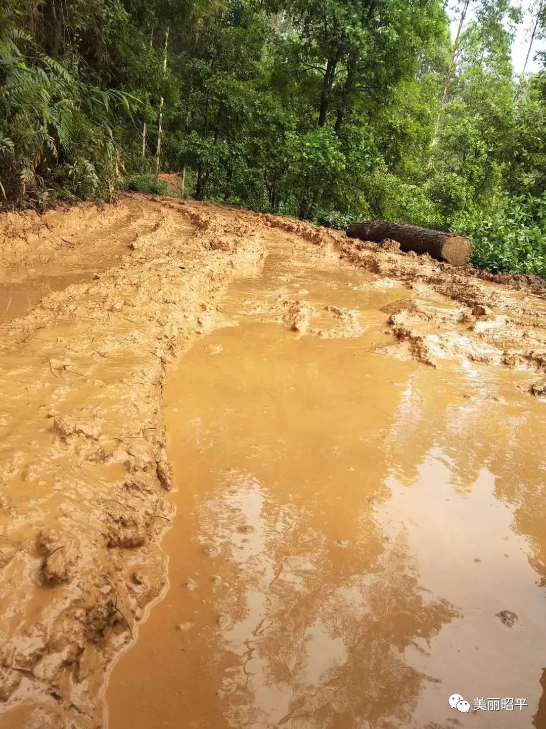 见过烂路但没见过昭平这个村这种烂泥巴路