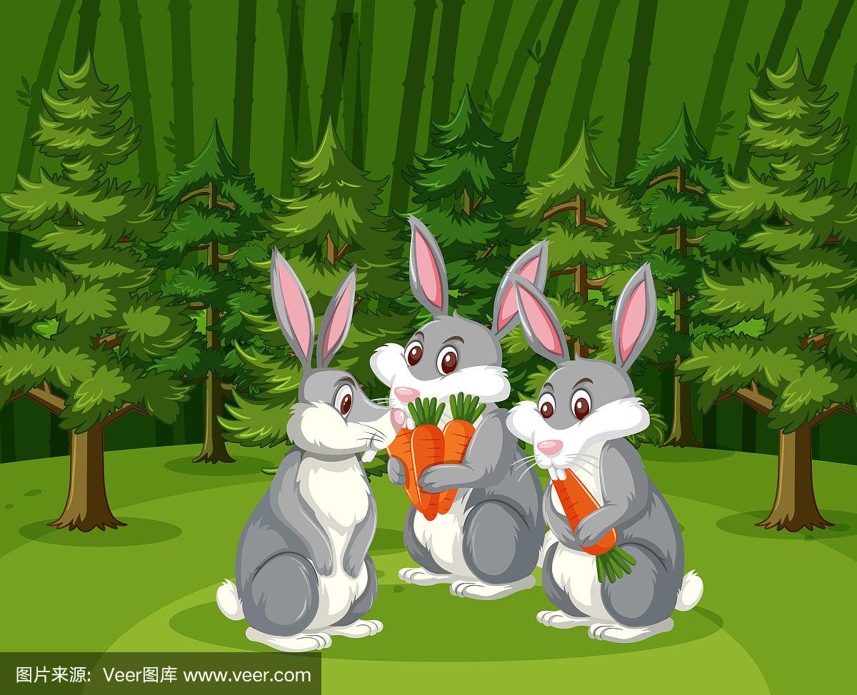 兔子,胡萝卜,巨大的,森林,三只动物