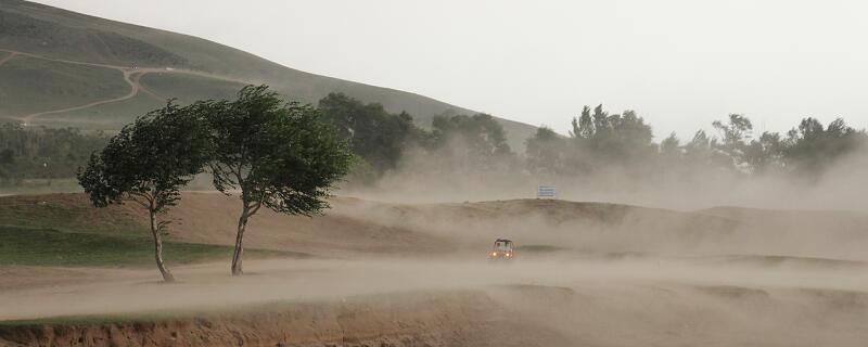 梦见狂风大作预示什么 梦见狂风大作有什么征兆