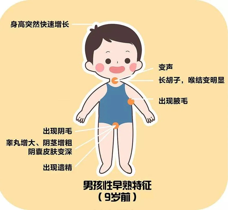 测测您家孩子发育是否正常吧~快来对照下边的青春期发育指标图男孩