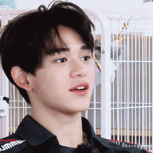 【安利】黄旭熙lucas舞台综艺tmi汇总整理楼(12.17.