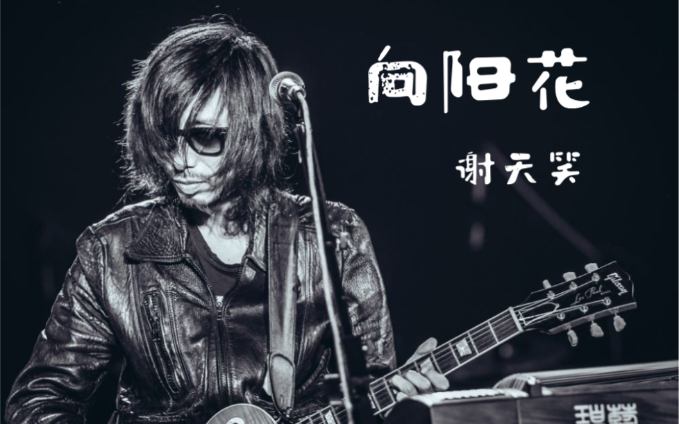 「谢天笑」向阳花|降噪 61 不插电live