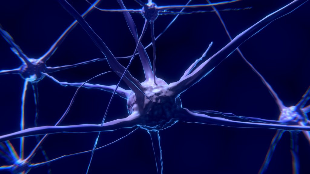 neurons and nerve cells are tonified with acupuncture.