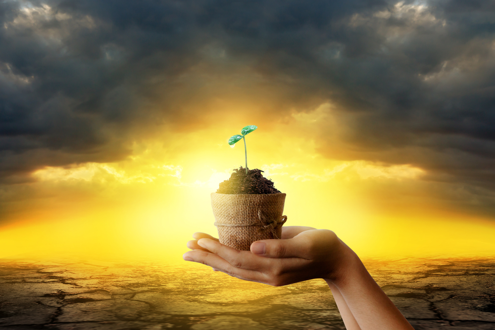 「喜乐的心乃是良药;忧伤的灵使骨枯干.