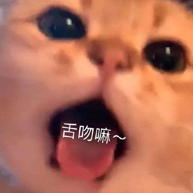 情侣聊天表情包