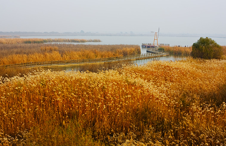 山东省东营市黄河口生态旅游区