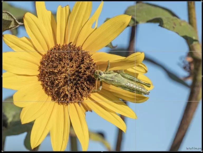 什么情况下要用三分法构图