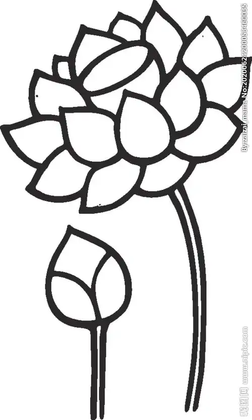 镂空花图案图片