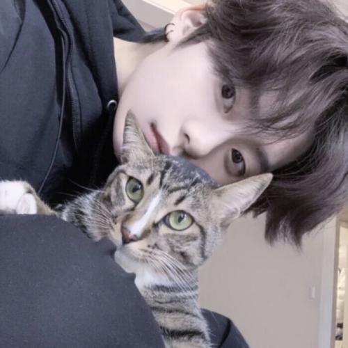 喜欢宠物的男生头像图片,男生头像图片