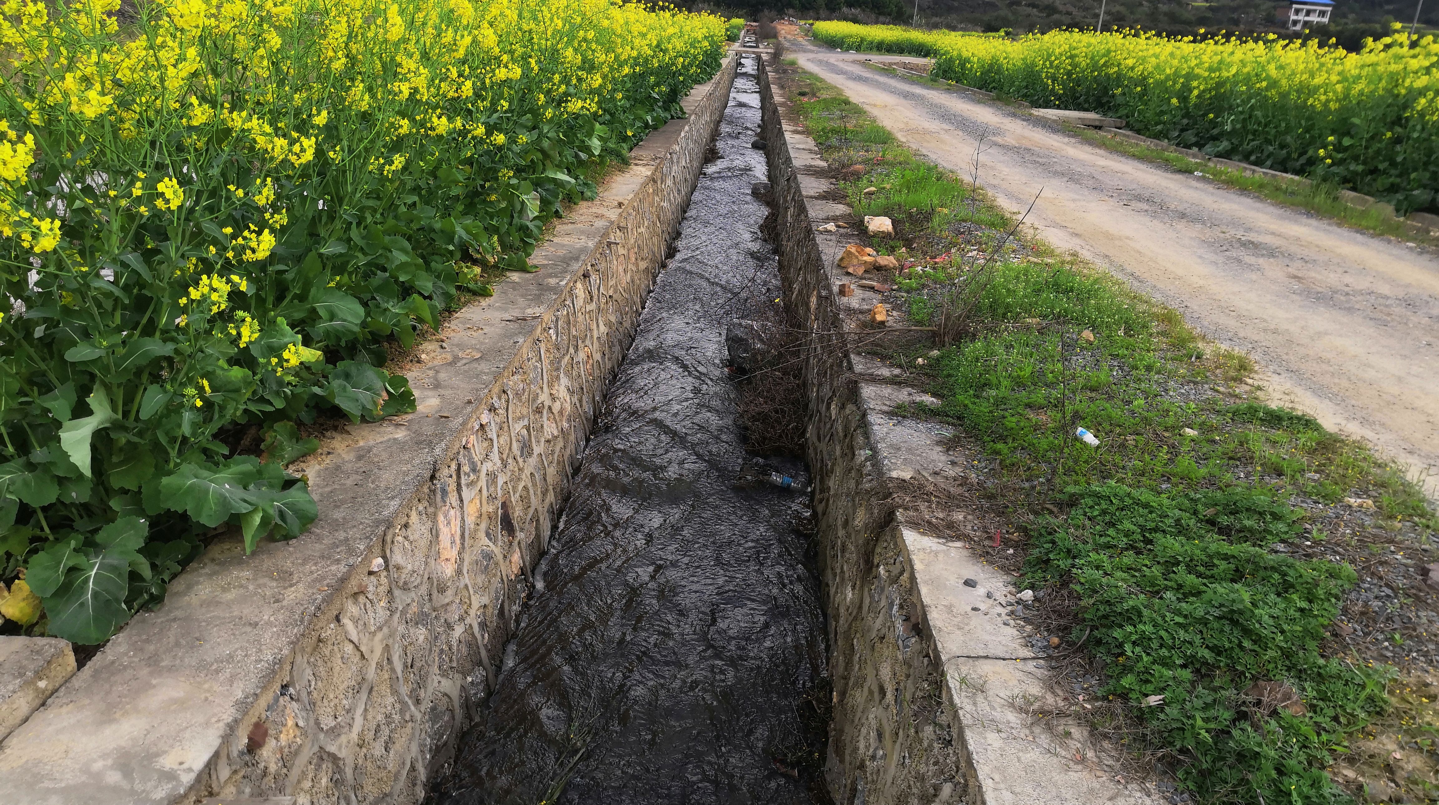 农村小水渠