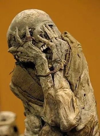 盘点世界上最著名的木乃伊宛如睡美人胆小慎入