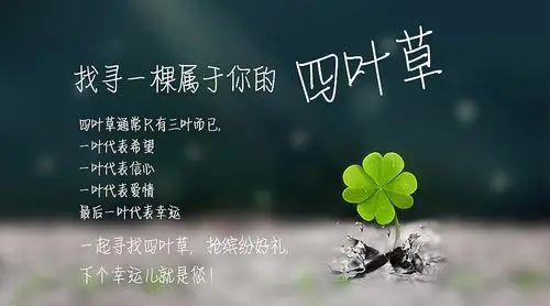 找寻你我的四叶草