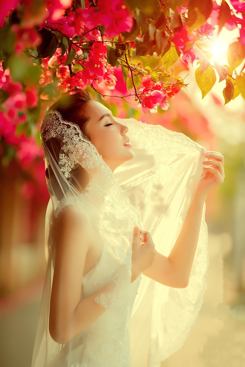 三角梅树下一个待出嫁的唯美新娘!