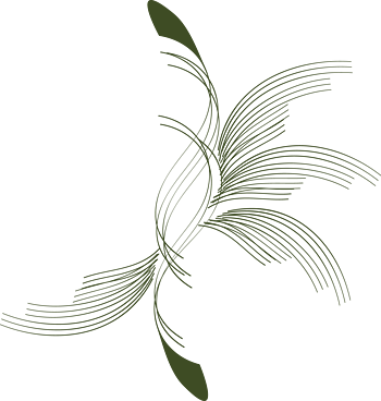 免抠元素-免抠png元素-png素材下载-万素网