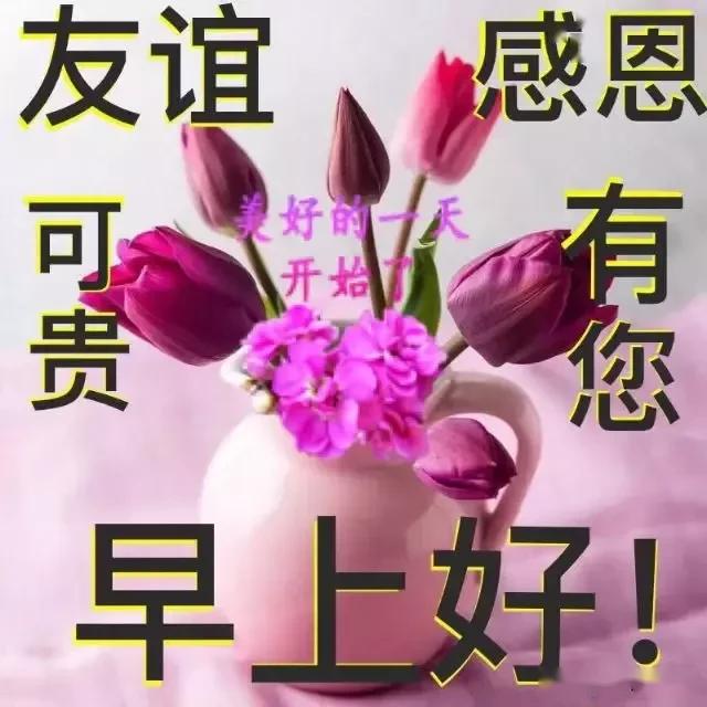 大家早上好祝福语加图片朋友早晨问候语带表情