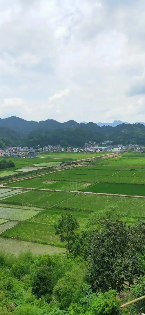 美丽的家乡田园风光 不是婺源去不起,而是甘溪村的油菜花更有 - 抖音
