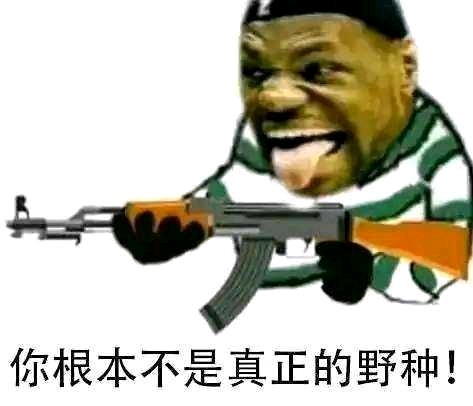 可以这很野种是什么意思这很野种nba吧可以这很野种是什么梗