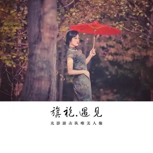 花样年华之旗袍遇见