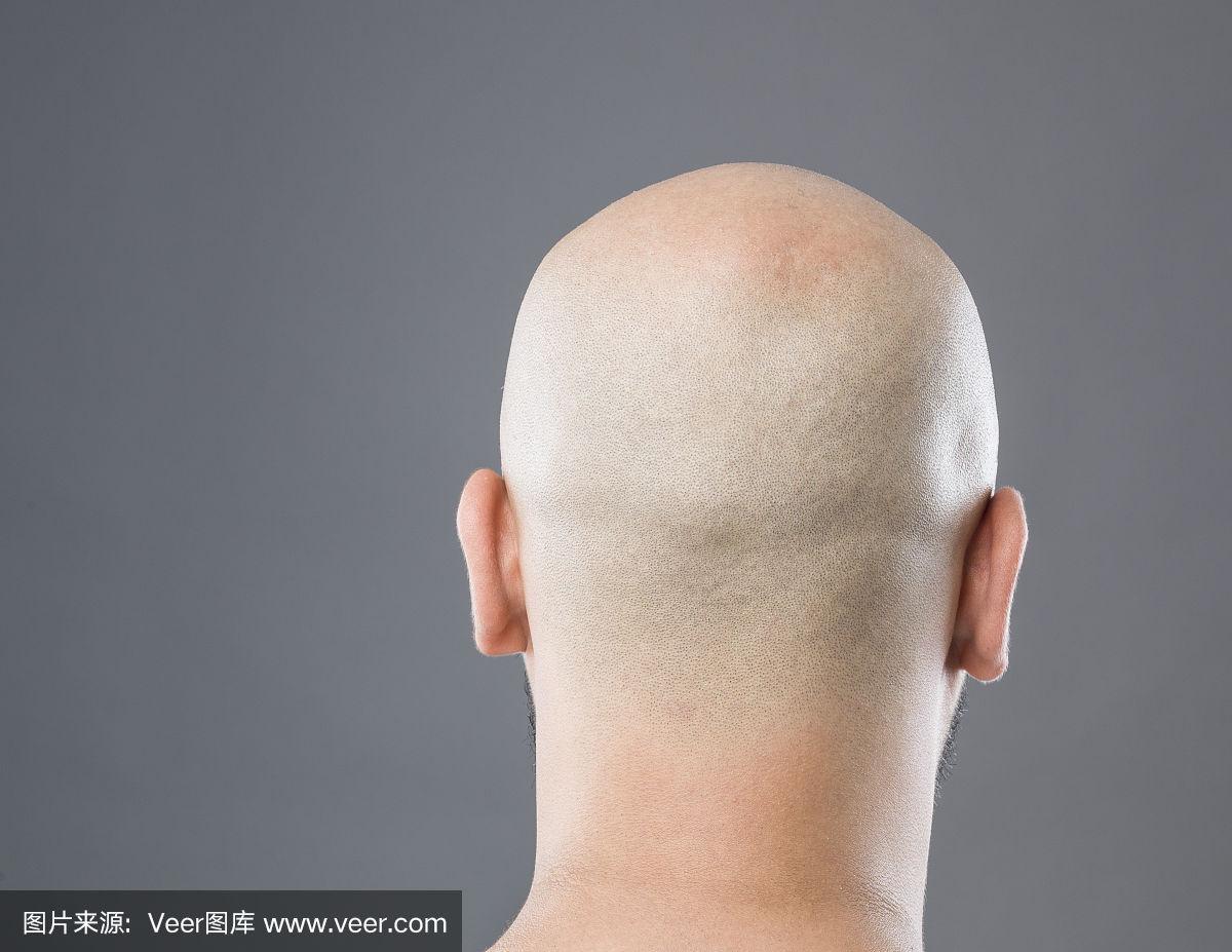 光头的后视图
