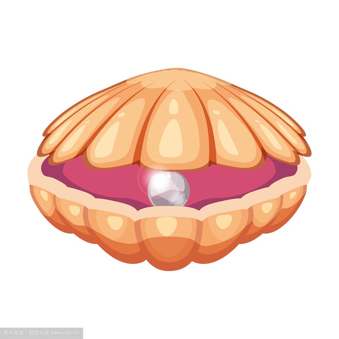 可爱明亮的卡通贝壳图标彩色的贝壳