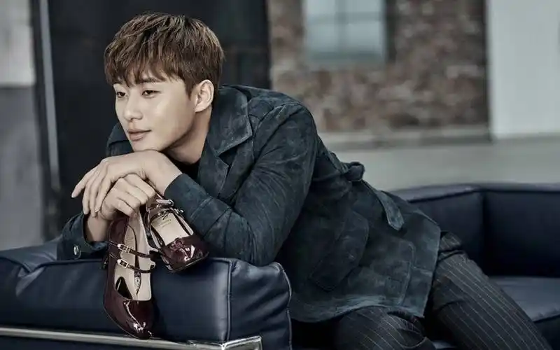 日韩明星朴叙俊高清壁纸