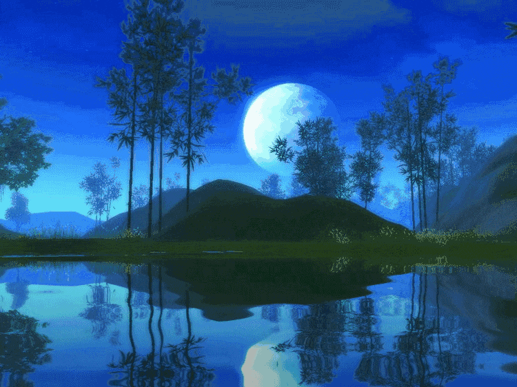 电脑动态壁纸高清全屏【相关词_exo电脑动态壁纸高清全屏】