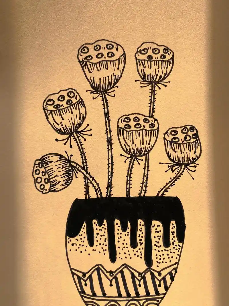 简笔画 #临摹 #手绘 #创意美术 #画画  ——莲蓬 - 抖音