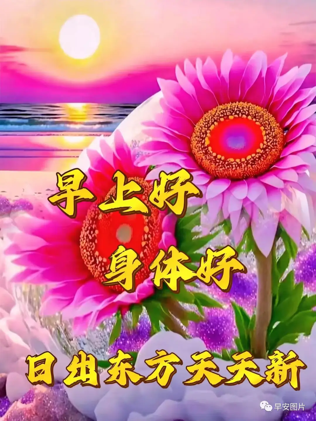 今日最新早上好表情图片大全,送上深深的祝福:开心快乐_问候_有缘人