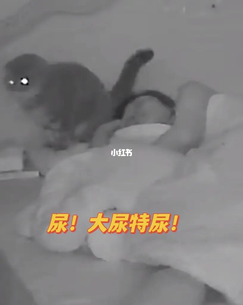 我耳边突然凉凉的 头发湿湿的 味道骚骚的 起来一看 枕头上好大一泡尿