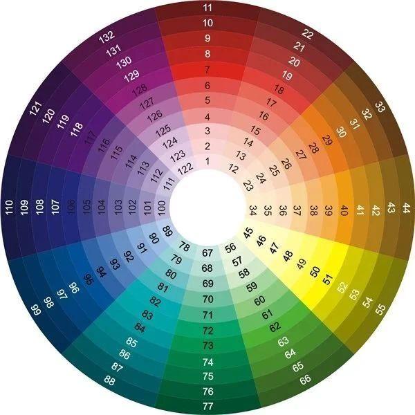 配色技巧|你的花园不够"色",凭什么招蜂引蝶?