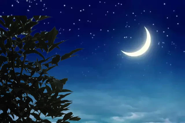 半个月亮爬上来