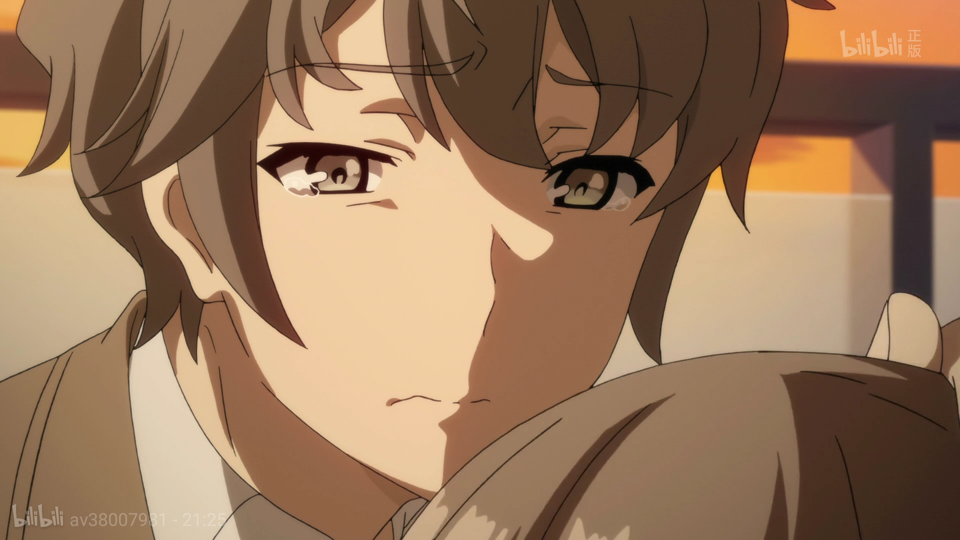 青春期猪头少年咲太