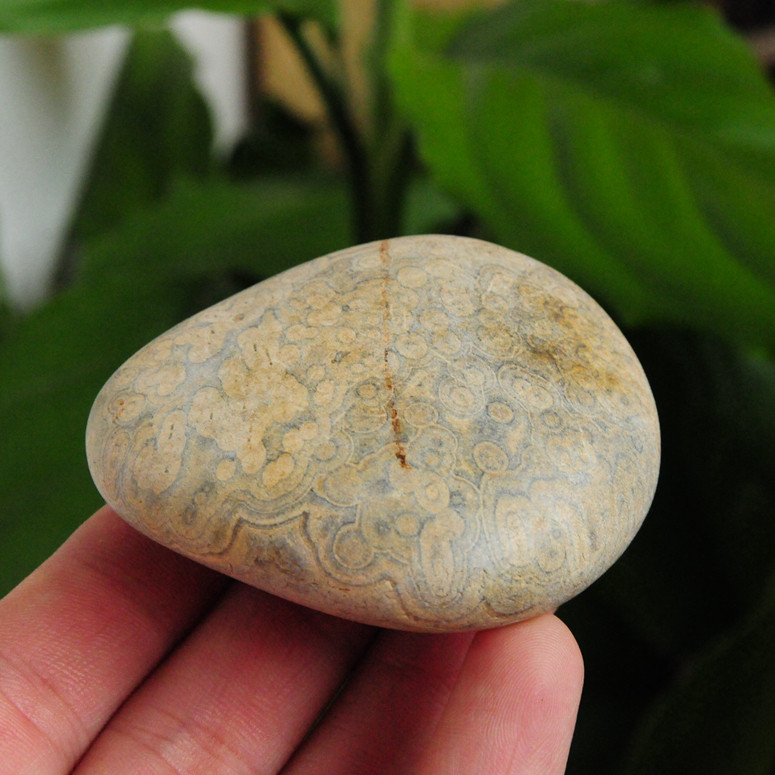 冰彩玛瑙水冲马达加斯加玛瑙原石籽料天然花纹奇石象形把玩观赏石包邮