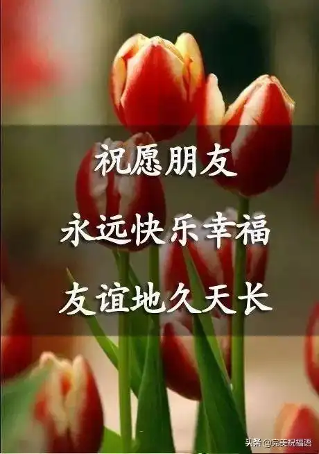 祝福语朋友珍惜生命中每一个有缘的朋友