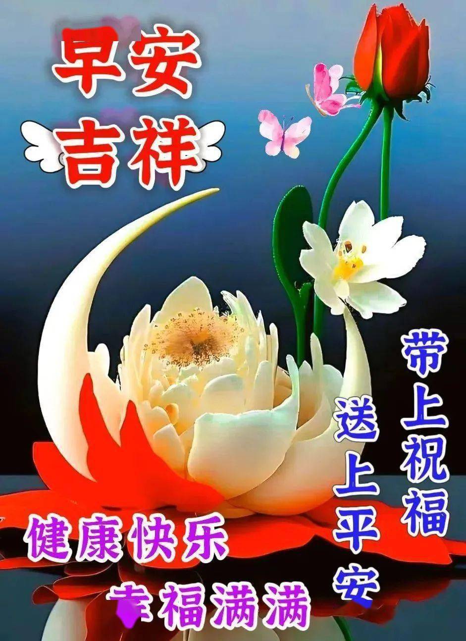 早上好图片漂亮祝福,简单问候天天到,日日温情暖心间_阳光_生活_宁静
