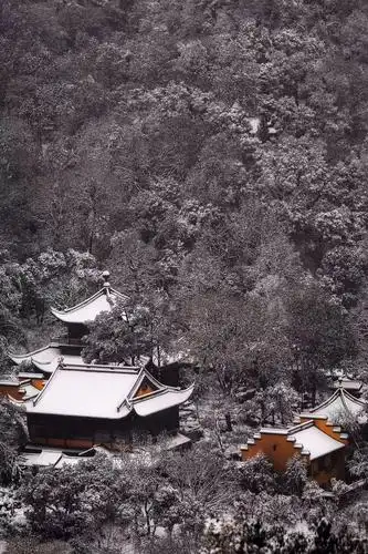 【佛国】摄影的小和尚拍摄的杭州寺院雪景|花谢花飞花满天(图集!
