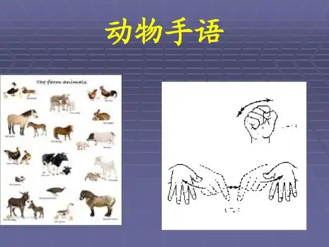 常见动物手语教学ppt