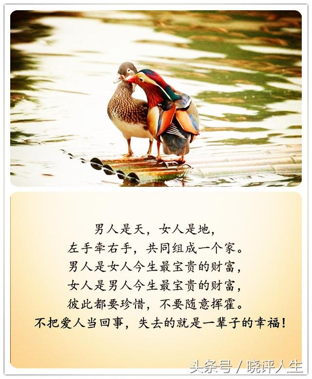 夫是妻的靠山,妻是夫的财富,请好好珍惜这辈子来之不易的缘份!