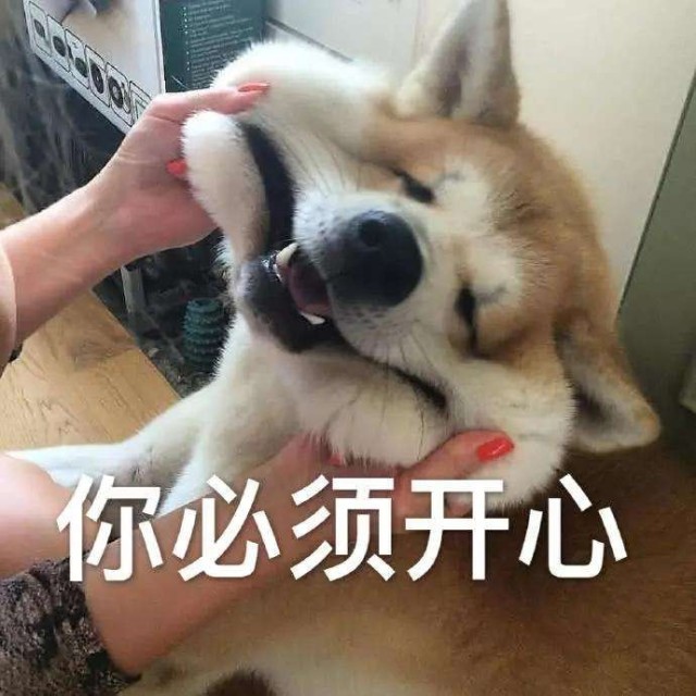 微信超实用表情包 斗图大全狗狗表情包 搞笑_柯基_网页_劲儿