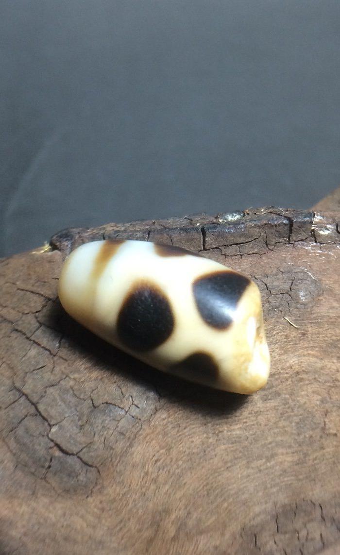 藏传老龟背(寿纹)天珠